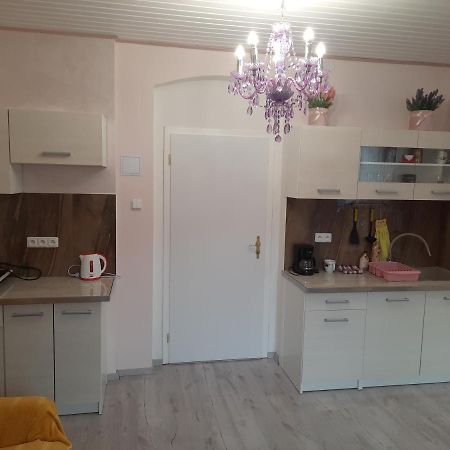 Appartement Fantasy à Karlovy Vary Extérieur photo